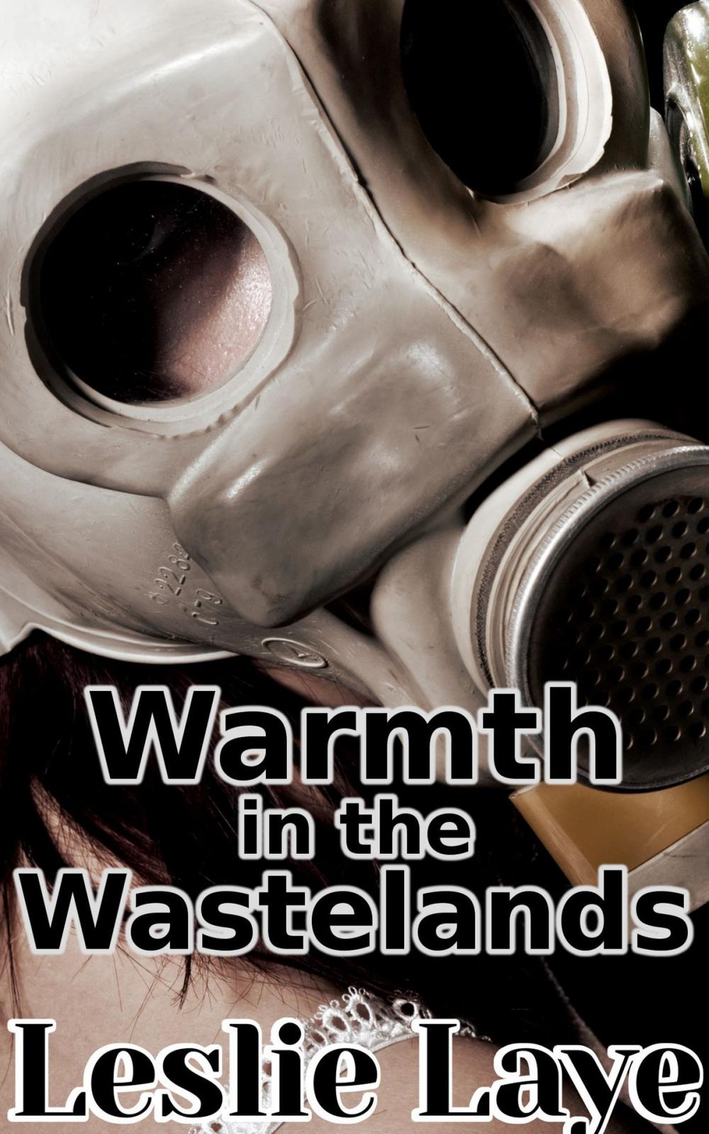 Big bigCover of Warmth in the Wastelands