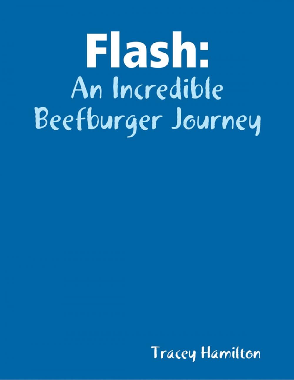 Big bigCover of Flash: An Incredible Beefburger Journey