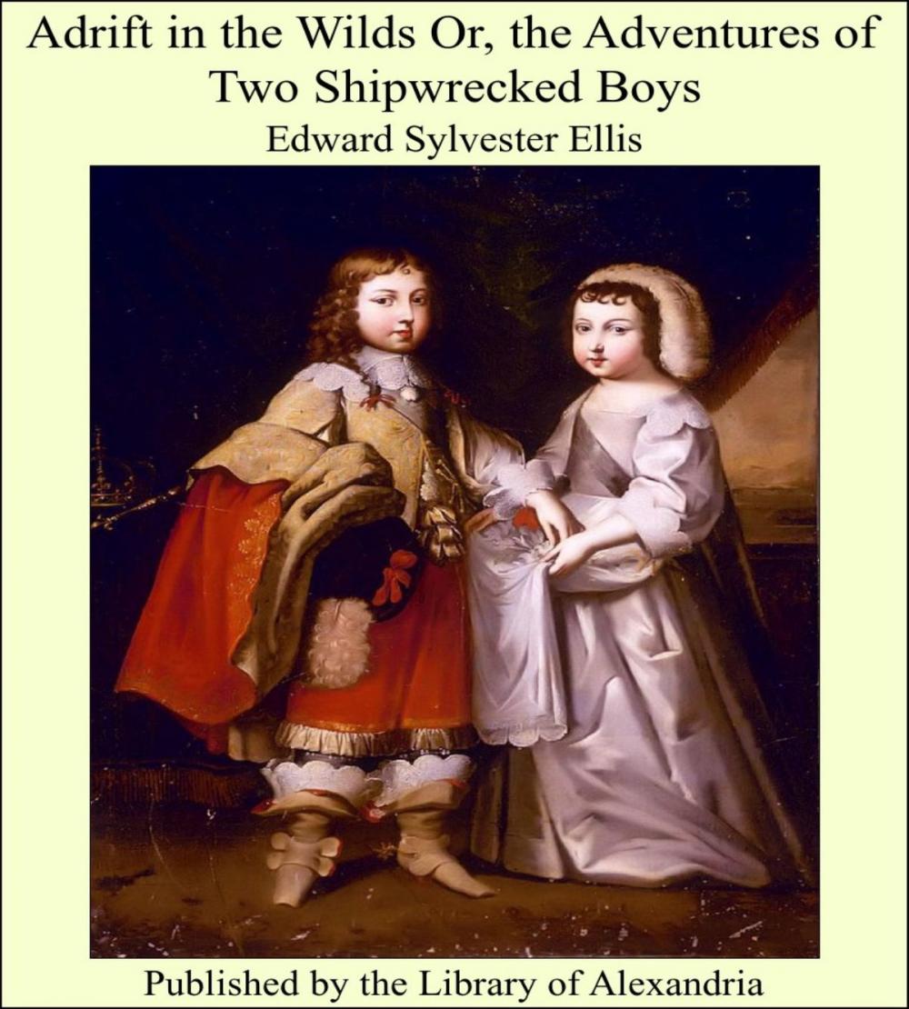 Big bigCover of Adrift in the Wilds Or, the Adventures of Two Shipwrecked Boys