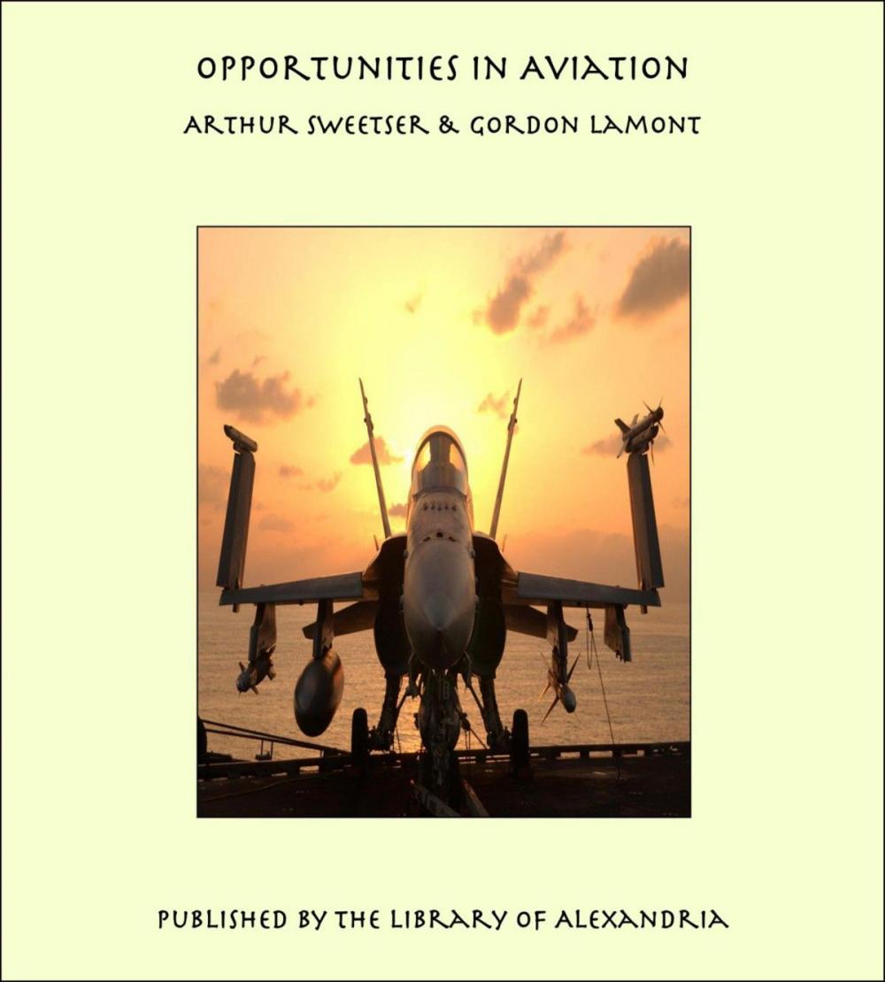 Big bigCover of Opportunities in Aviation