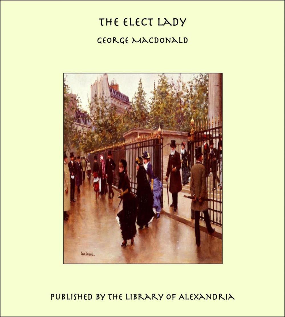 Big bigCover of The Elect Lady