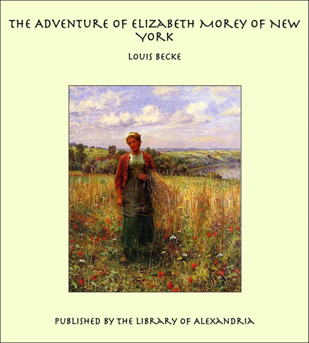 Big bigCover of The Adventure of Elizabeth Morey of New York