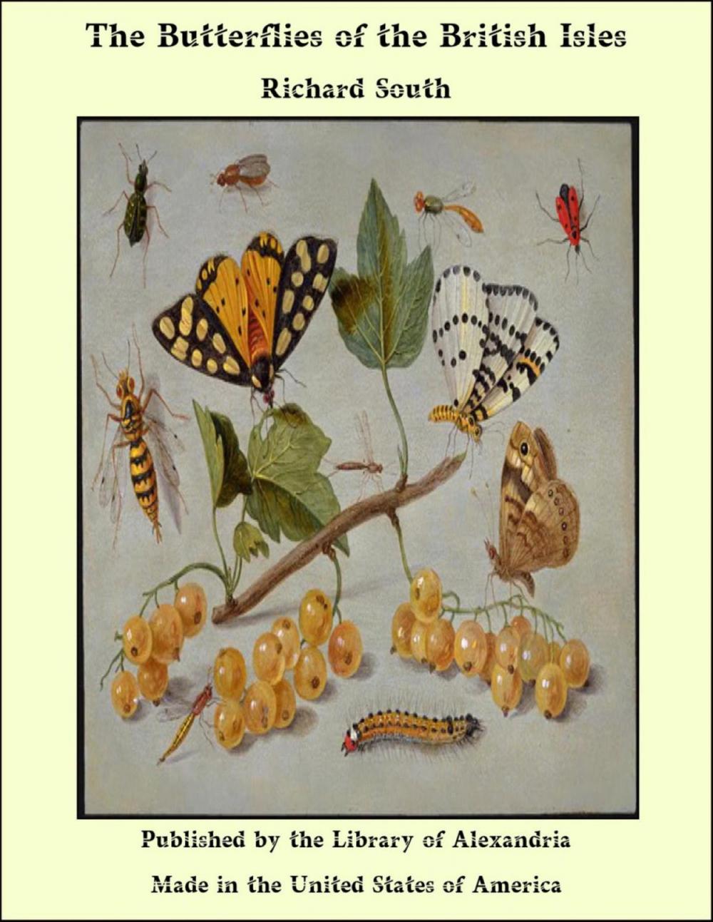 Big bigCover of The Butterflies of the British Isles