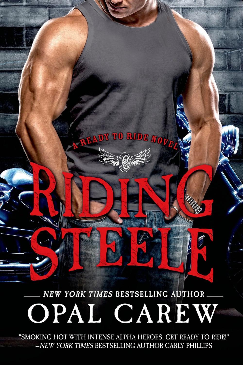 Big bigCover of Riding Steele
