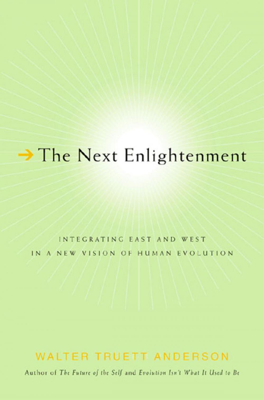 Big bigCover of The Next Enlightenment