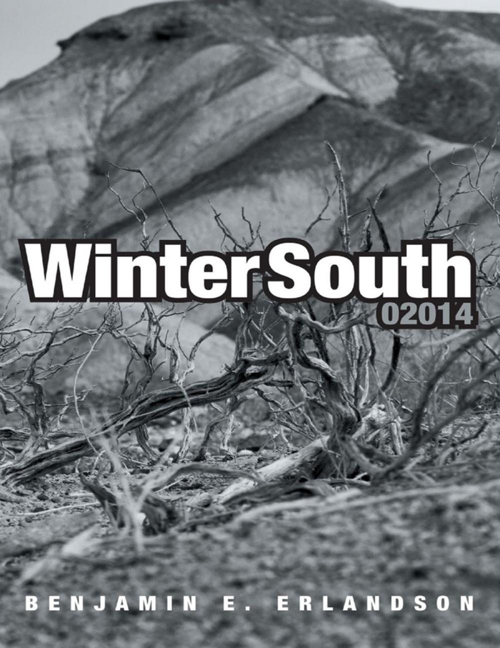 Big bigCover of Winter South 02014