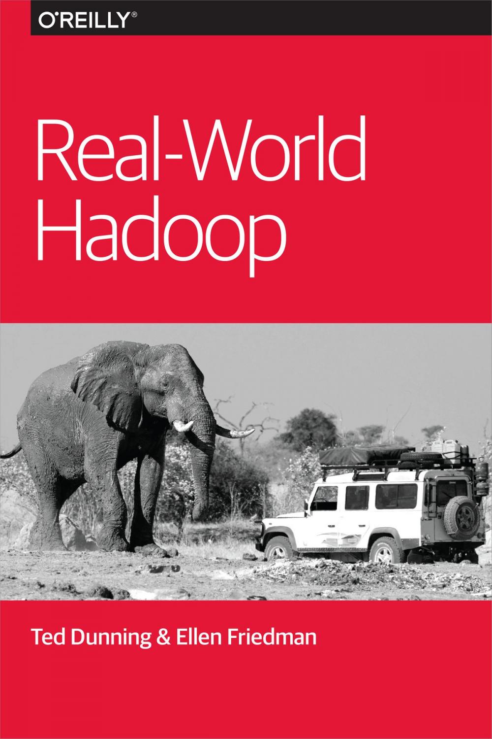 Big bigCover of Real-World Hadoop