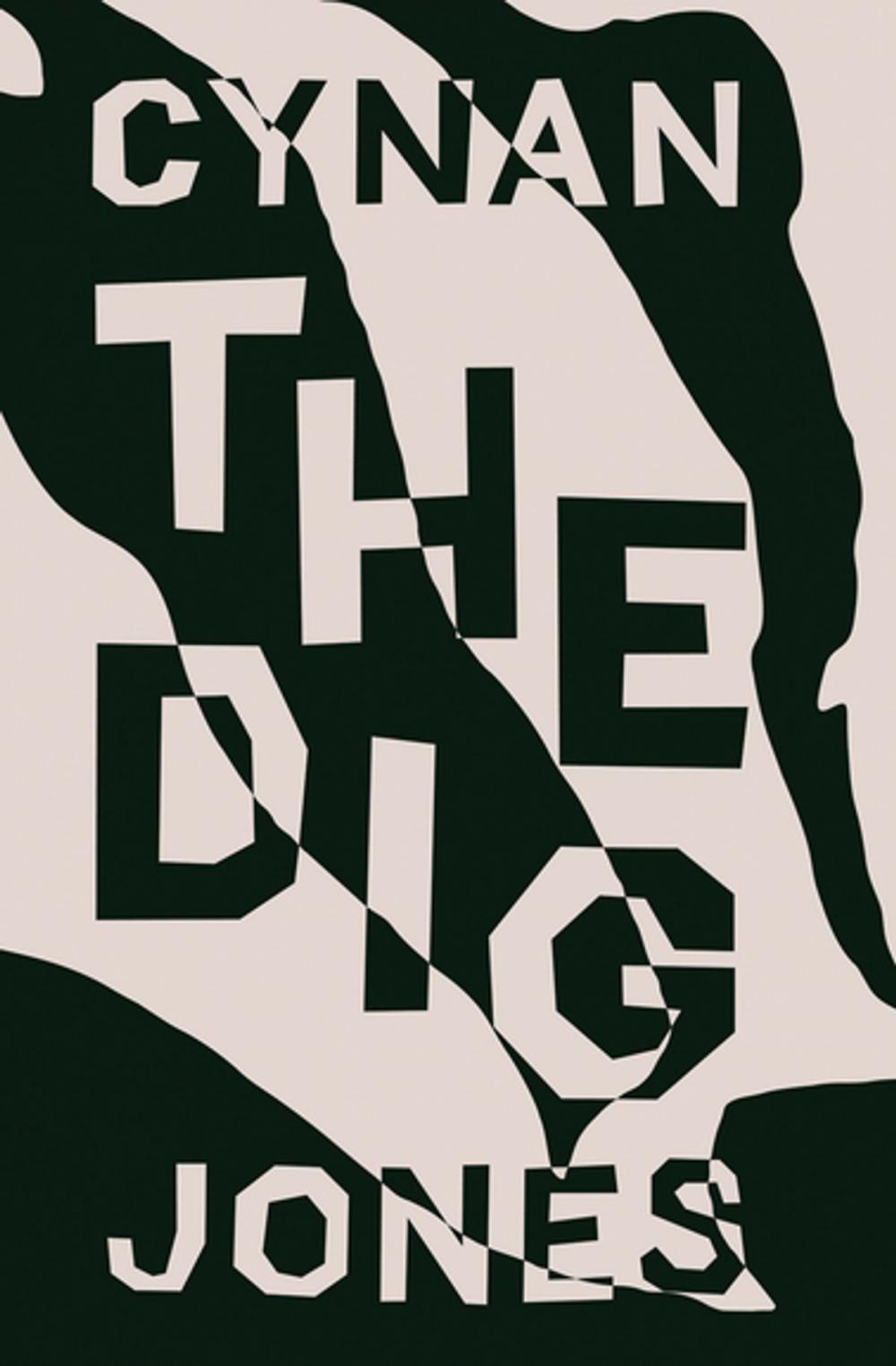 Big bigCover of The Dig