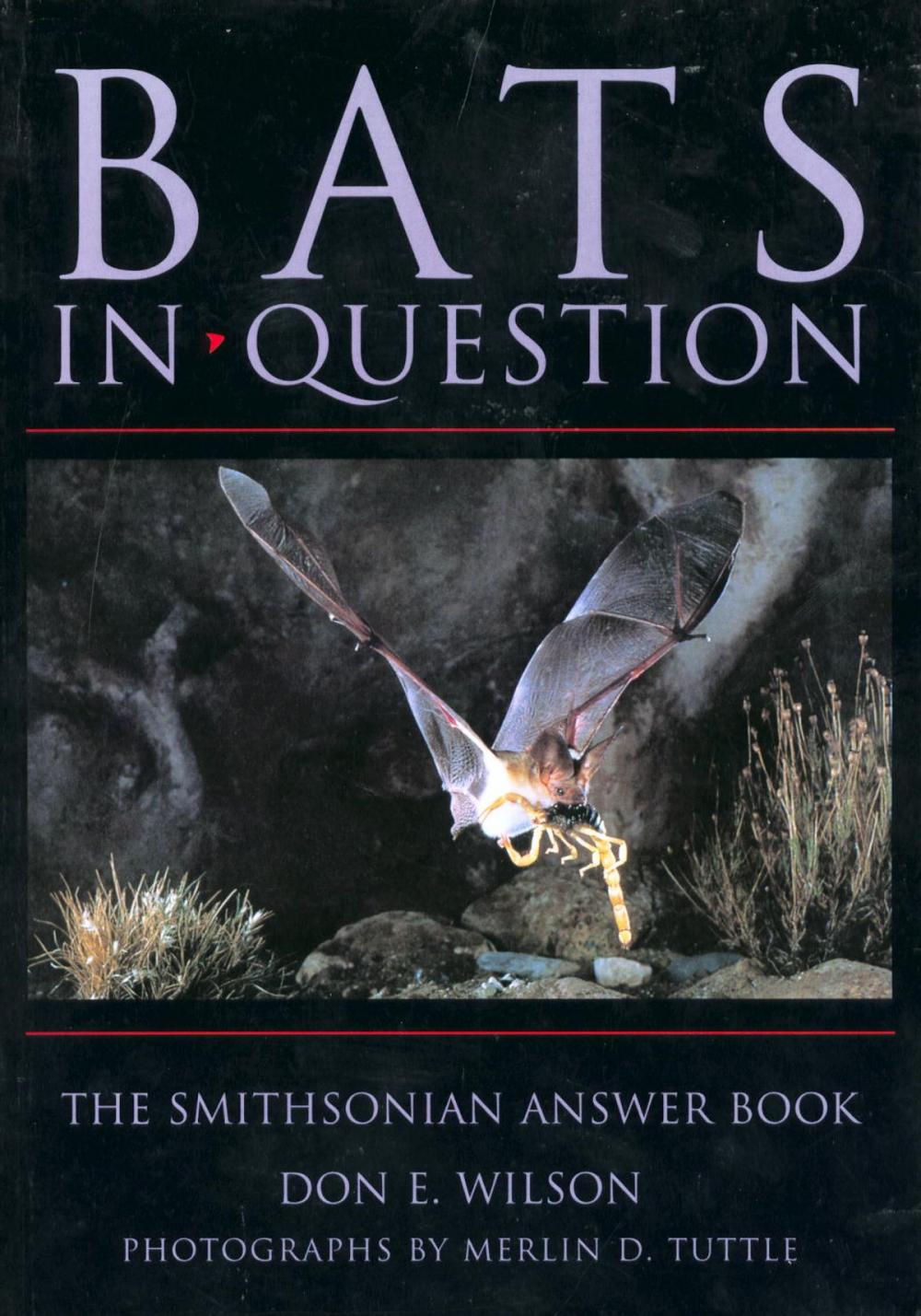 Big bigCover of Bats in Question