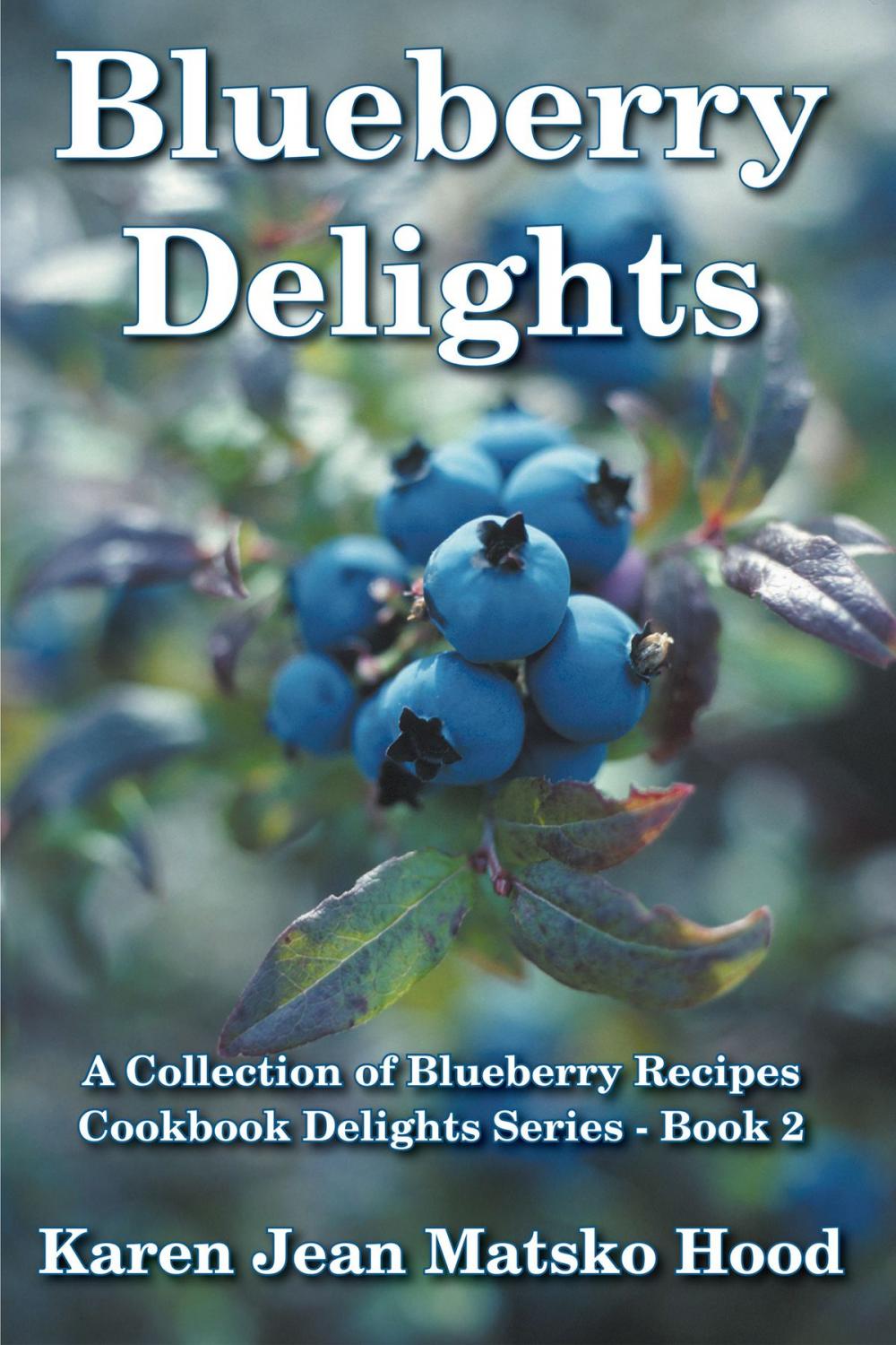 Big bigCover of Blueberry Delights Cookbook