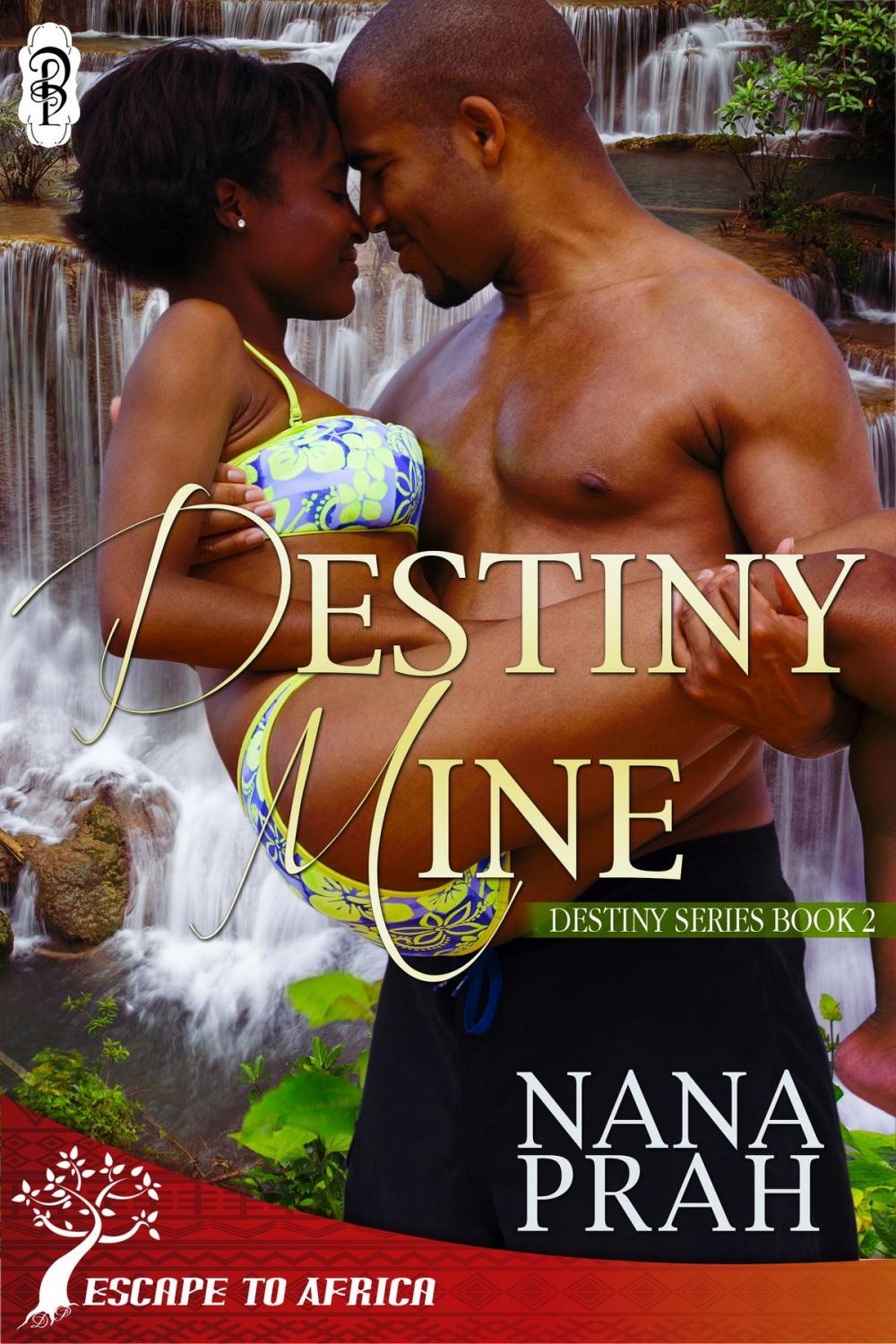 Big bigCover of Destiny Mine (Destiny African Romance book #2)
