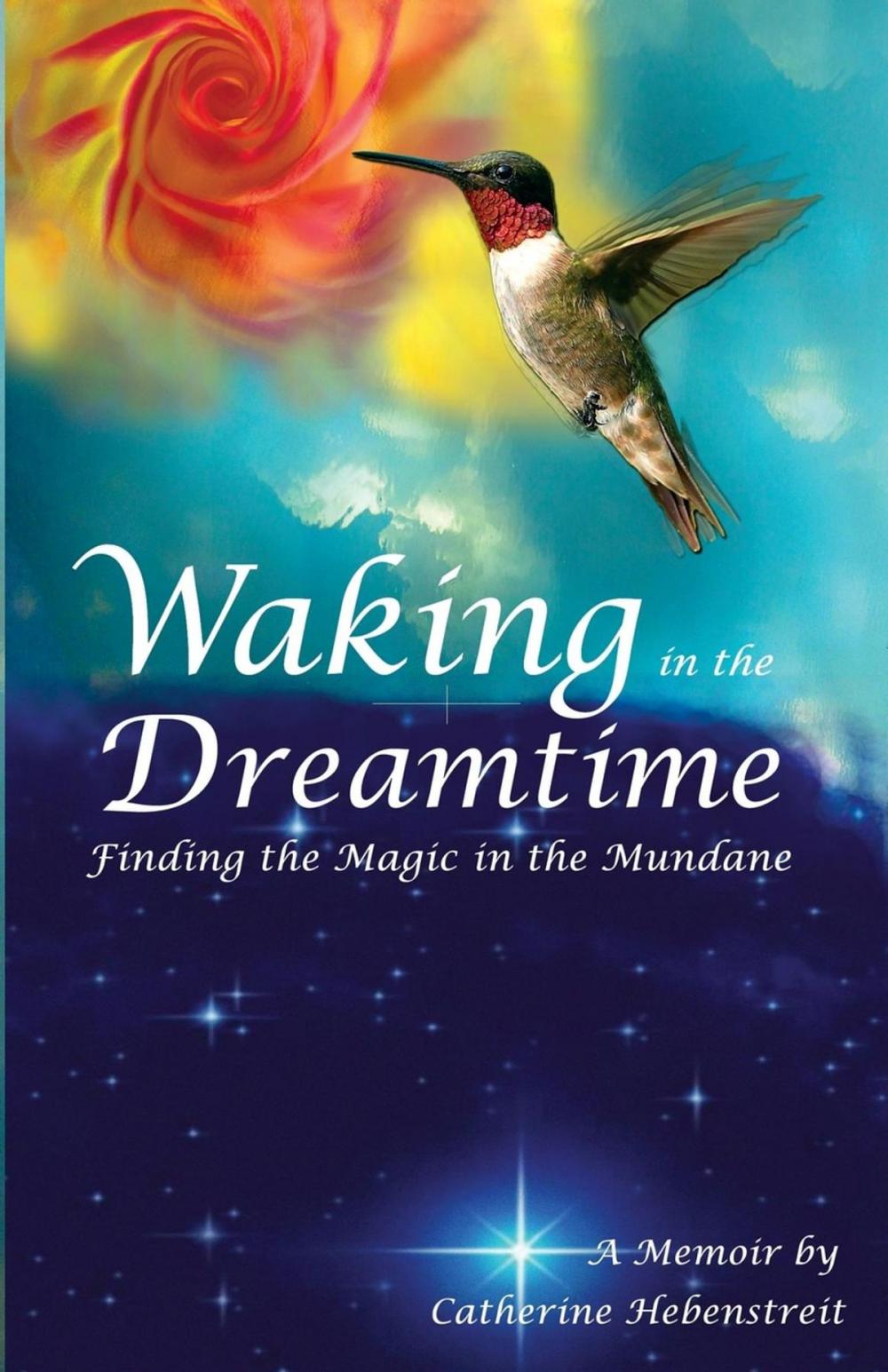 Big bigCover of Waking in the Dreamtime