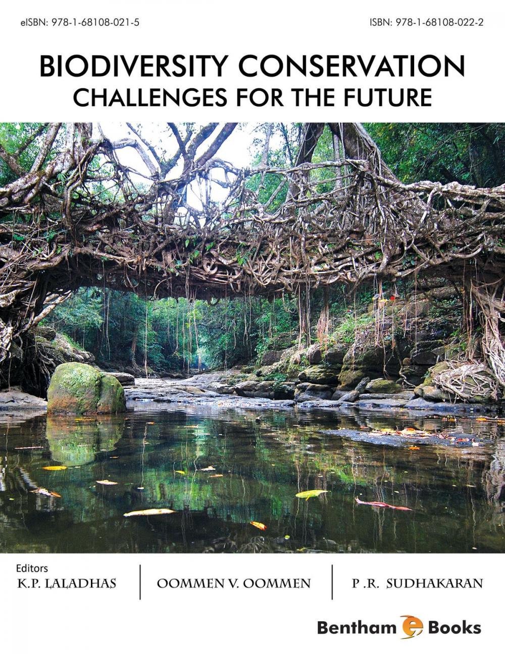 Big bigCover of Biodiversity Conservation - Challenges for the Future