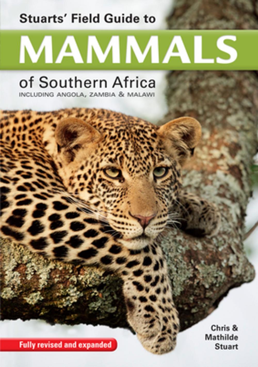Big bigCover of Stuarts' Field Guide to Mammals of Southern Africa