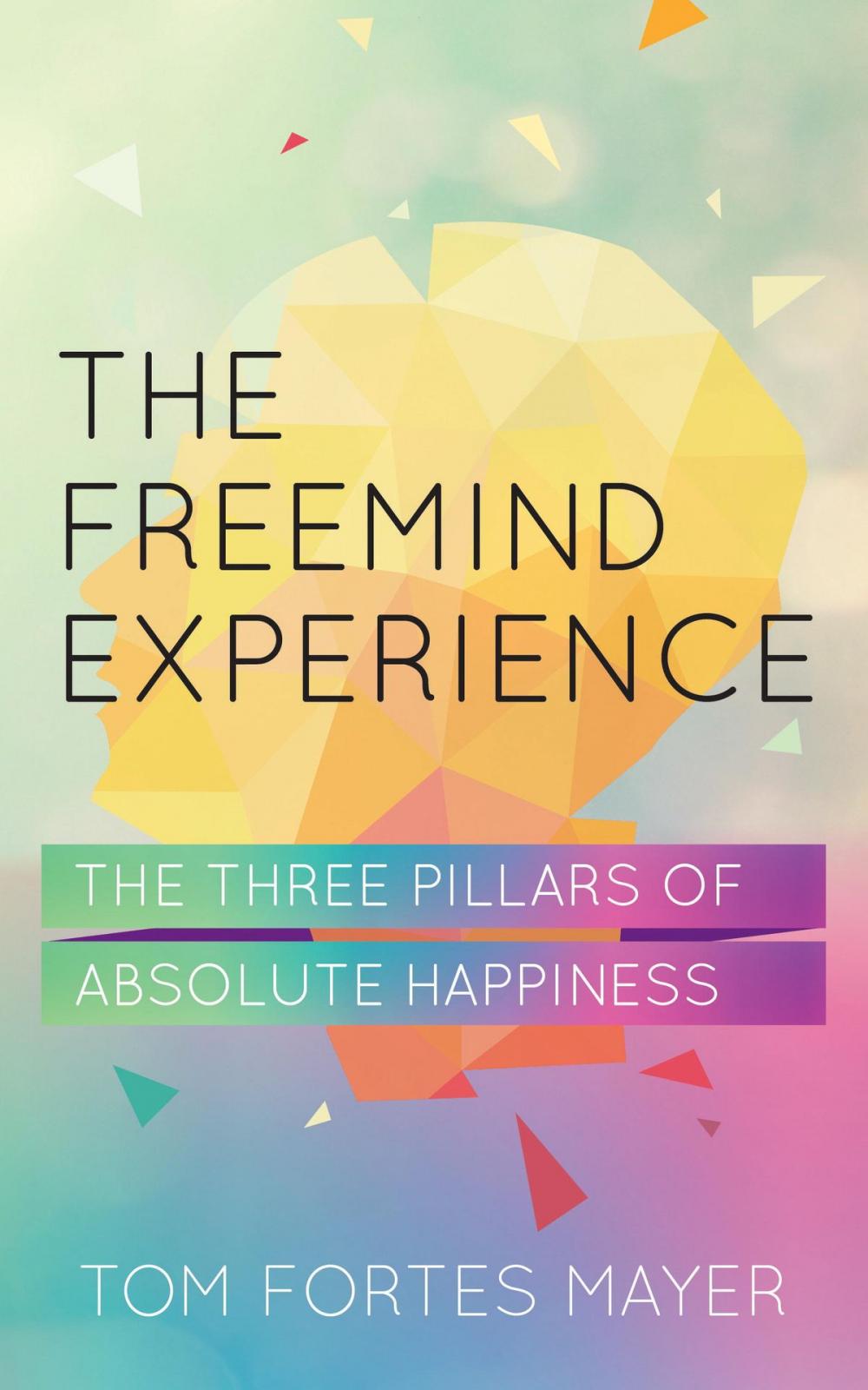 Big bigCover of The FreeMind Experience