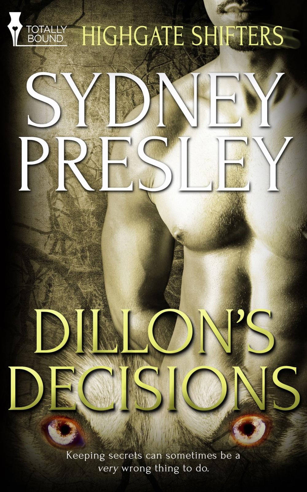 Big bigCover of Dillon’s Decisions