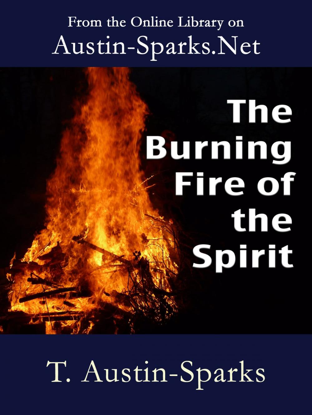 Big bigCover of The Burning Fire of the Spirit