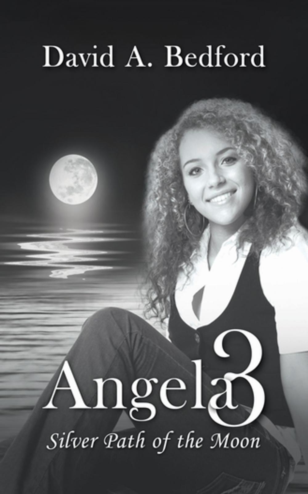 Big bigCover of Angela 3: Silver Path of the Moon