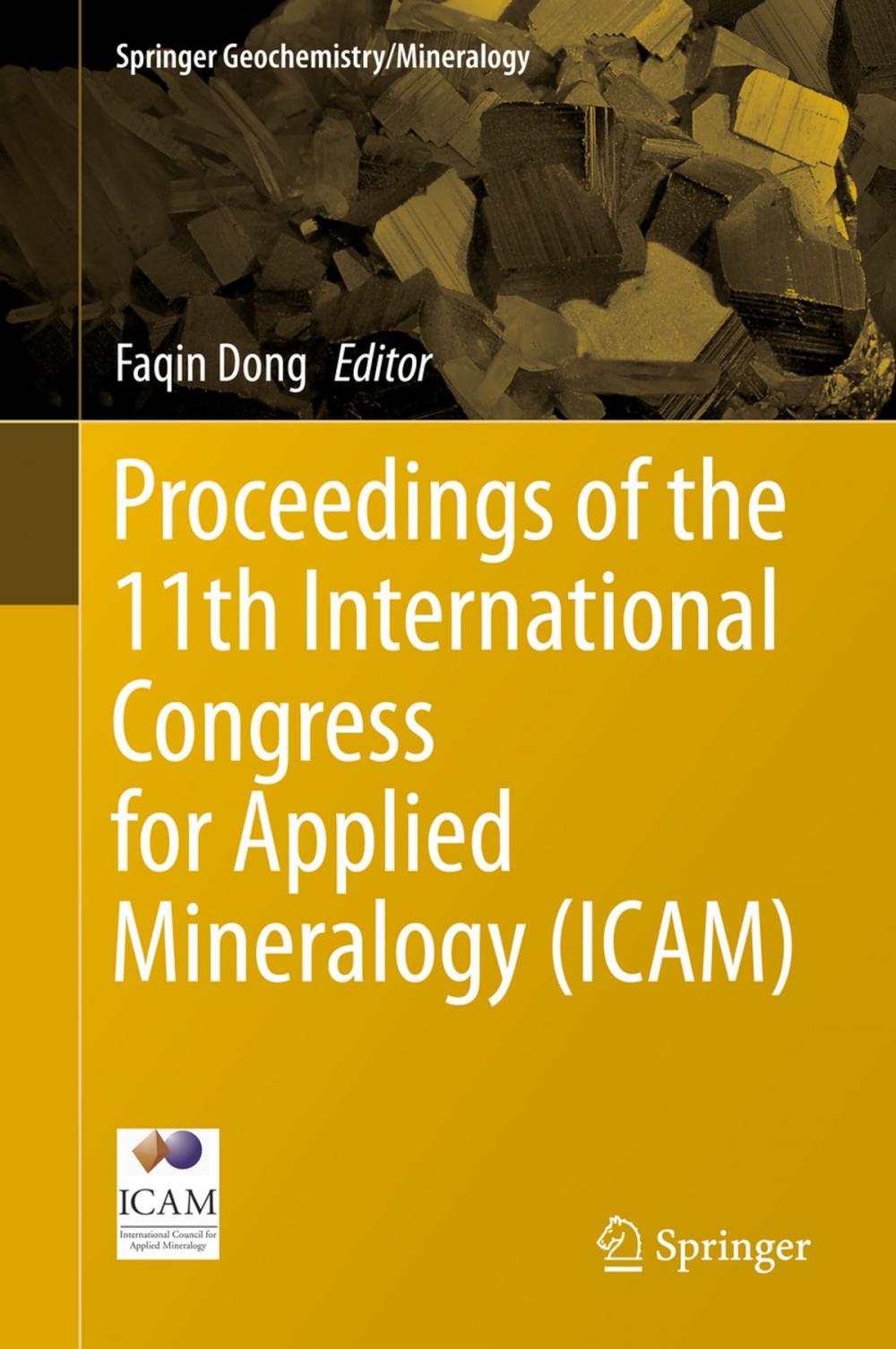 Big bigCover of Proceedings of the 11th International Congress for Applied Mineralogy (ICAM)