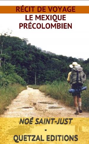 Cover of the book Le Mexique Précolombien by Andrew Pain