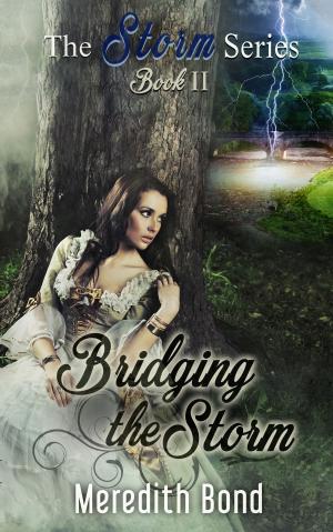 Cover of the book Bridging the Storm by Natalie Severine, Eric Severine