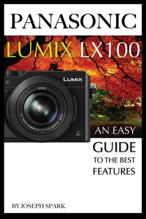 Cover of the book Panasonic Lumix LX100: An Easy Guide to the Best Features by Michael Glint