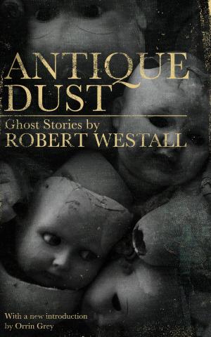 bigCover of the book Antique Dust: Ghost Stories by 