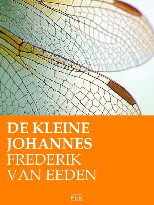 Cover of the book De kleine Johannes by Frederik van Eeden