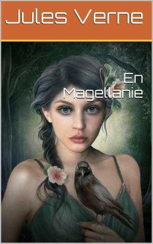 Cover of the book En Magellanie by Eugène Sue