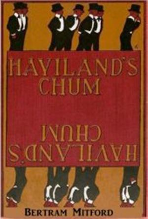 Cover of the book Haviland's Chum by Algernon Blackwood, Violet Pearn