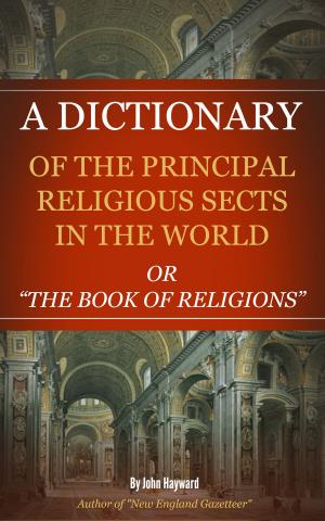 Cover of the book A Dictionary of the Principle Religious Sects in the World by Daniel Galera Nebot Sr