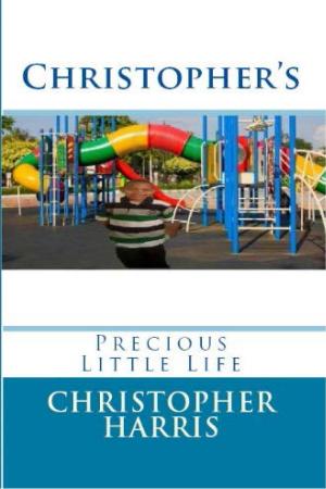 Book cover of Christopher's Precious Little Life