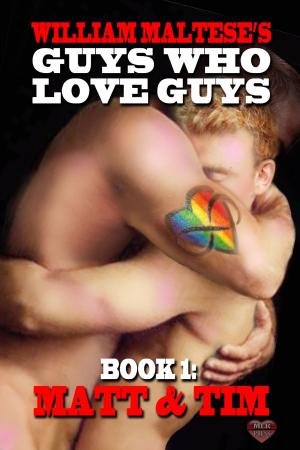 Cover of the book Matt & Tim by Parker Williams