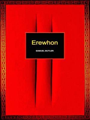 Cover of the book Erewhon by Uri Scheft