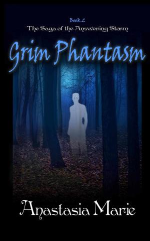 Cover of the book Grim Phantasm by Carmen Saptouw