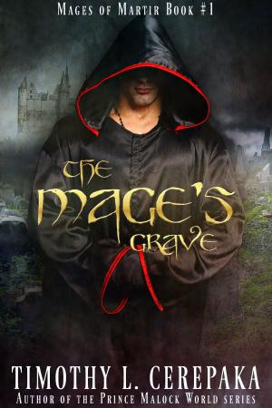 Cover of the book The Mage's Grave by Jamie Wilson