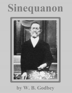 Cover of the book Sinequanon by Abel Stevens