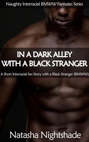 Cover of the book In a Dark Alley with a Black Stranger by Natasha Nightshade