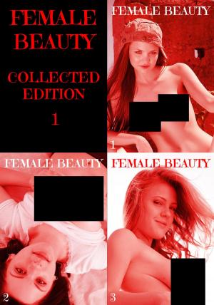 Cover of the book Female Beauty Collected Edition 1 - A sexy photo book - Volumes 1 to 3 by Lisa Barnes