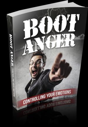 Cover of the book Boot Anger by Amilton Lopes