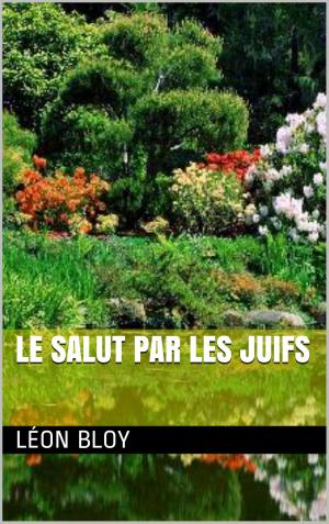 Cover of the book Le Salut par les Juifs by Cesare Beccaria, Jacques Auguste Simon Collin de Plancy