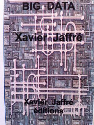 Cover of the book Big Data by xavier jaffré