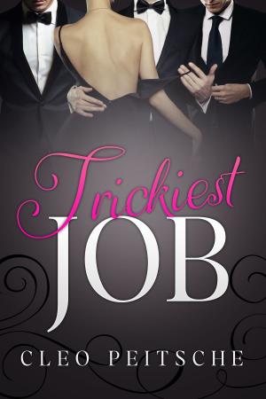 bigCover of the book Trickiest Job by 