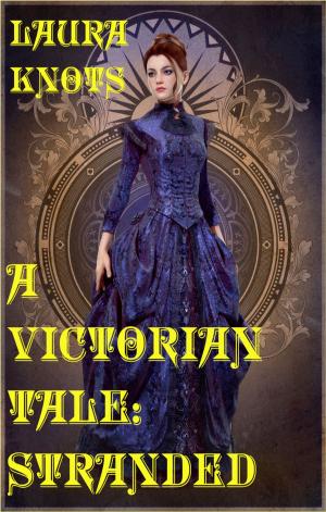 Book cover of A Victorian Tale: Stranded