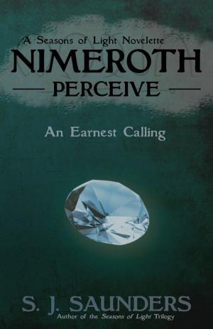 Book cover of Nimeroth: Perceive