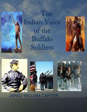 Book cover of The Indian Voice of The Buffalo Solider