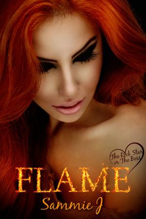 bigCover of the book Flame by 