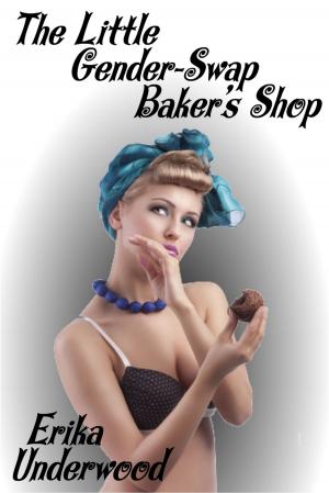 Book cover of The Little Gender-Swap Baker's Shop