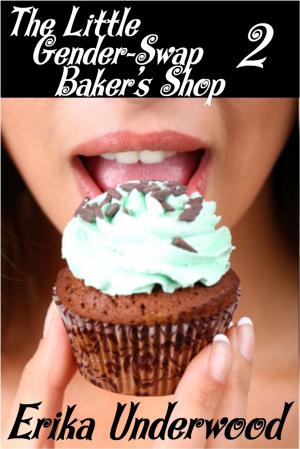 Book cover of The Little Gender-Swap Baker's Shop 2