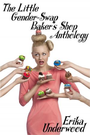 Book cover of The Little Gender-Swap Baker's Shop Anthology